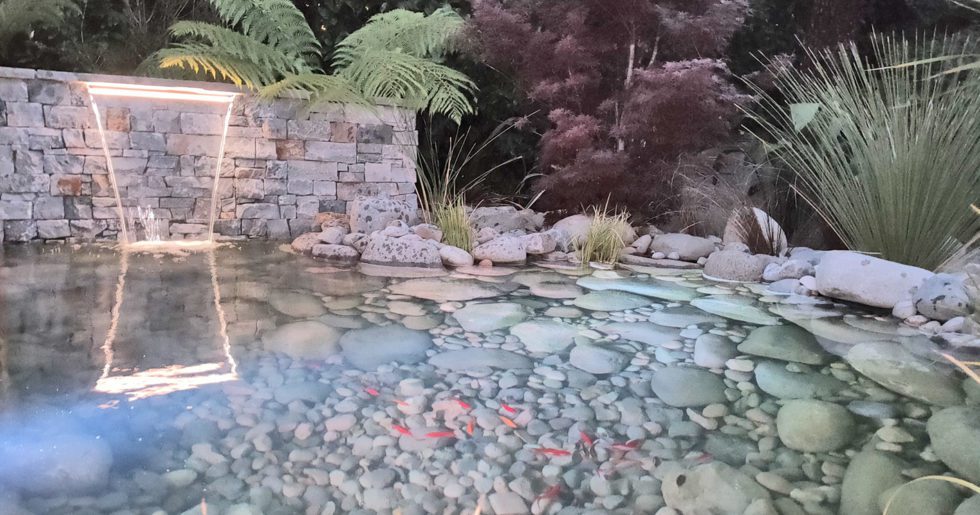 réalisation d'une mare en pierre